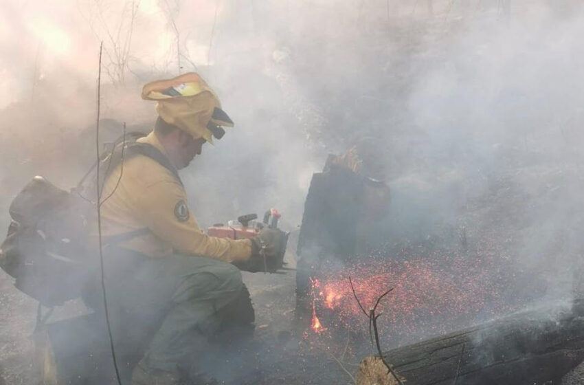  Brigadistas, voluntarios y equipo aéreo combaten incendio en Los Reyes