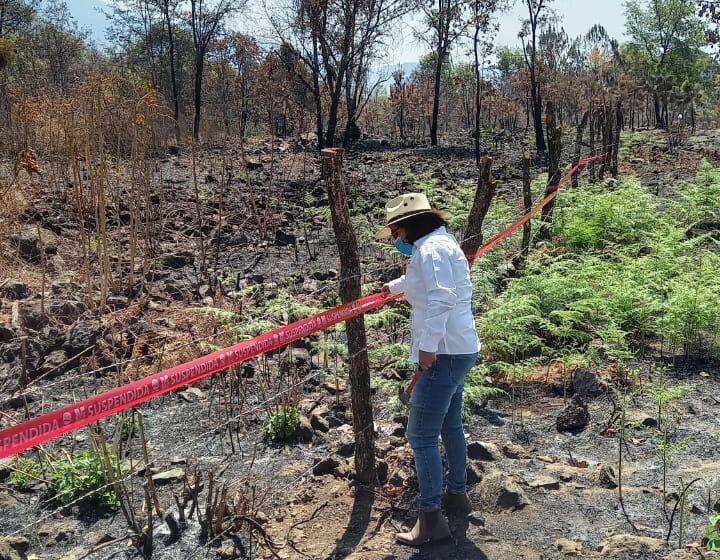  Clausura ProAm inicio de obras en Área Natural Protegida de Uruapan