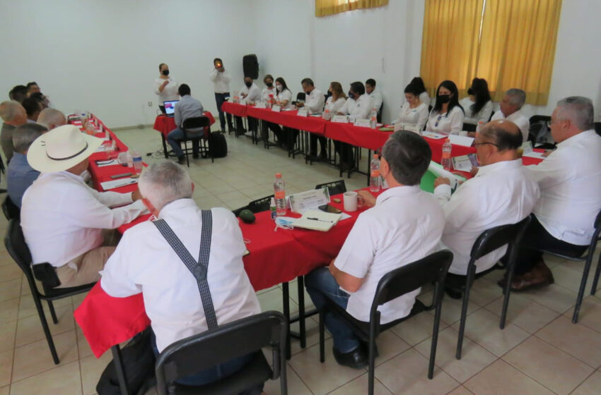Analizan apertura de nueva carrera en el plantel Conalep Los Reyes