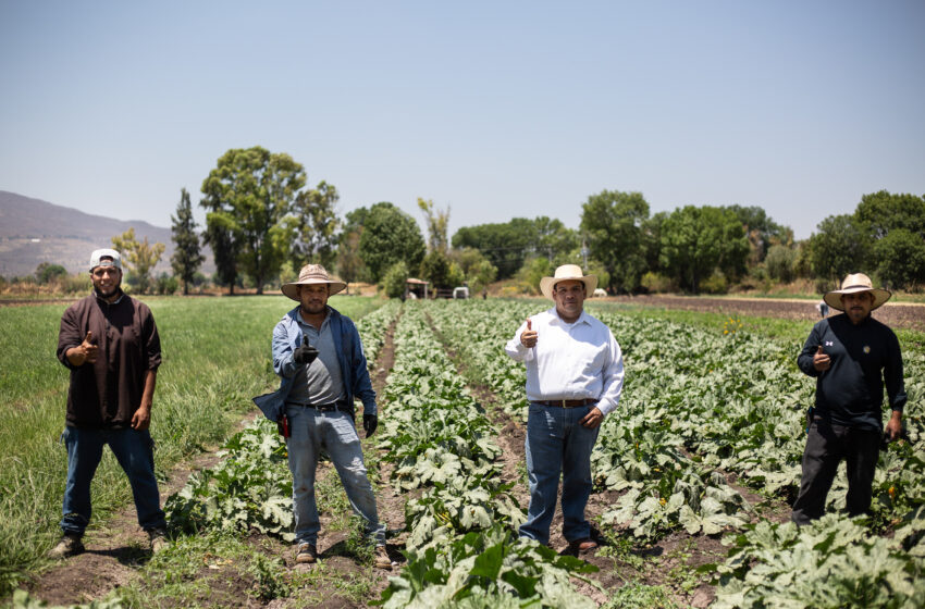 Productores tarimbarenses recibirán directamente los beneficios del campo: Bladimir González