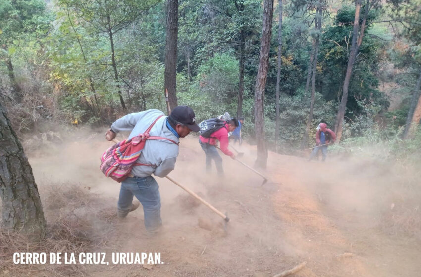  Controlado al 100 por ciento, el incendio en el Cerro de la Cruz, en Uruapan
