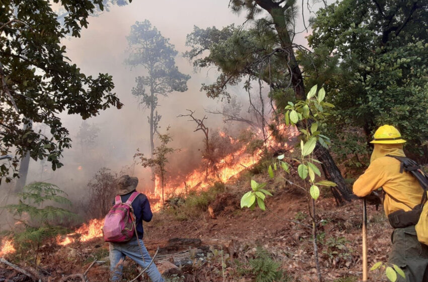  Por aire y tierra combaten incendio en el Cerro de la Chuparrosa, en Tinguindín y Tangamandapio
