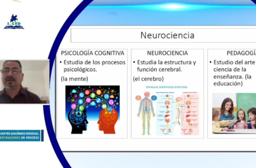  La Neurociencia, fundamental en el proceso educativo