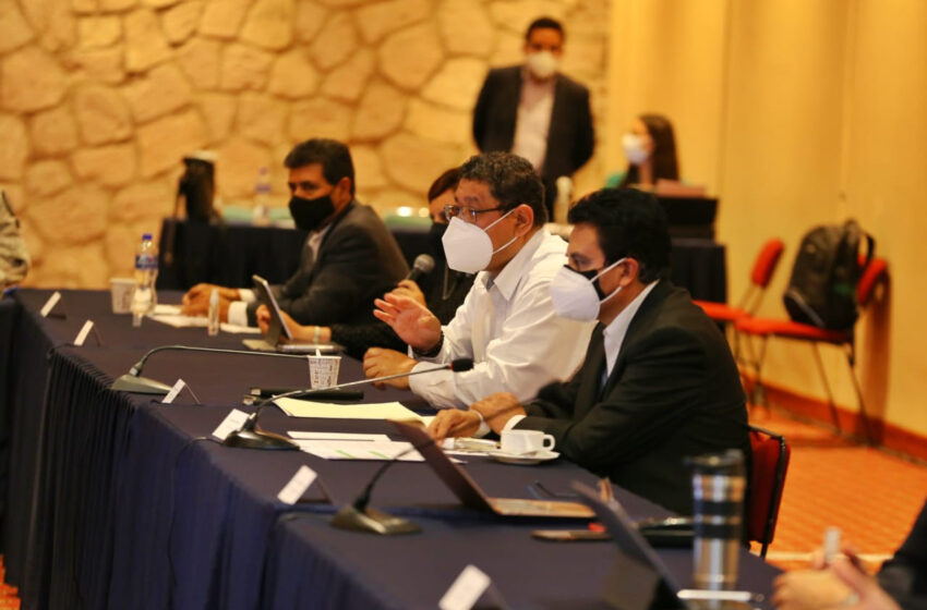  Coadyuvan para garantizar el derecho al voto