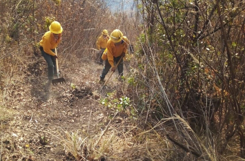  Disminuye el riesgo de incendios en Michoacán