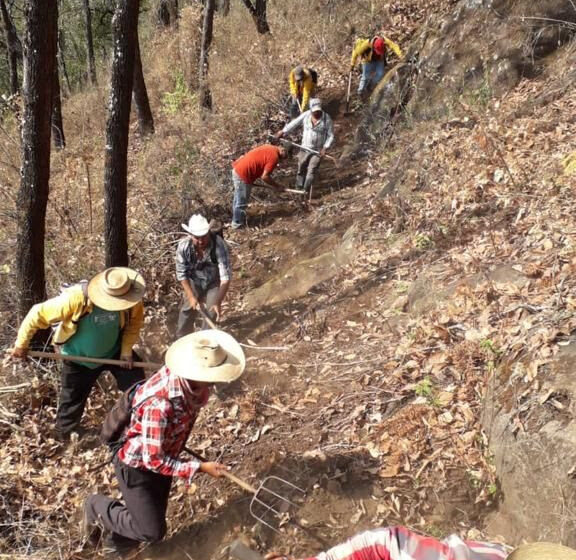  Combaten brigadistas incendio en Cerro Grande