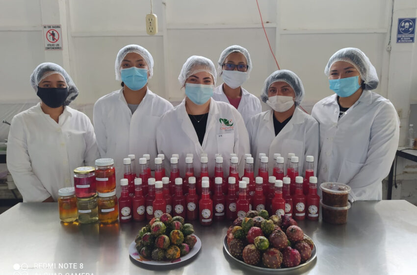  Participarán estudiantes del CECyTEM de Arteaga en feria gastronómica de Tierra Caliente