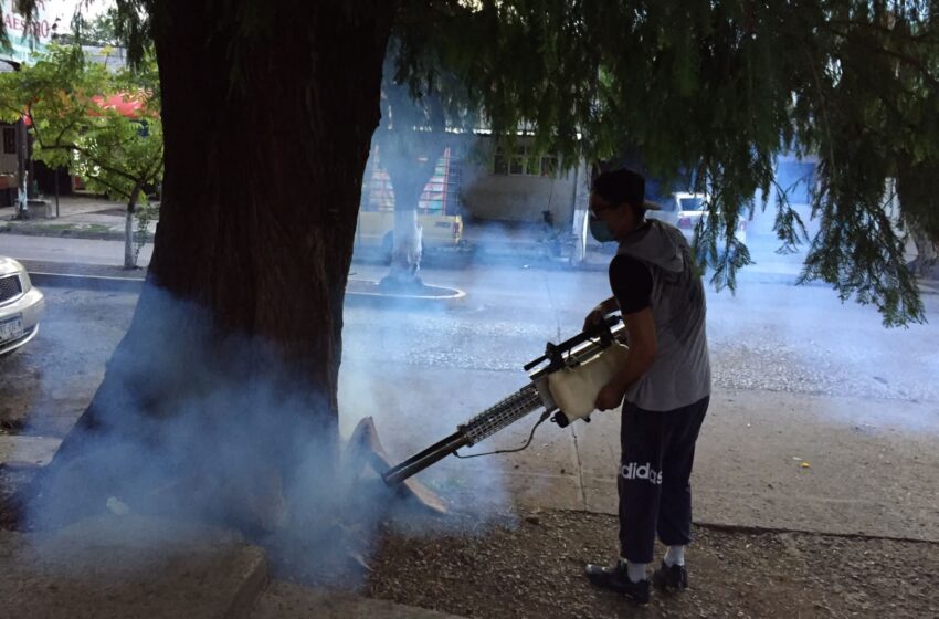  Ayuntamiento de Jacona continúa con descacharrización y fumigación contra el Dengue