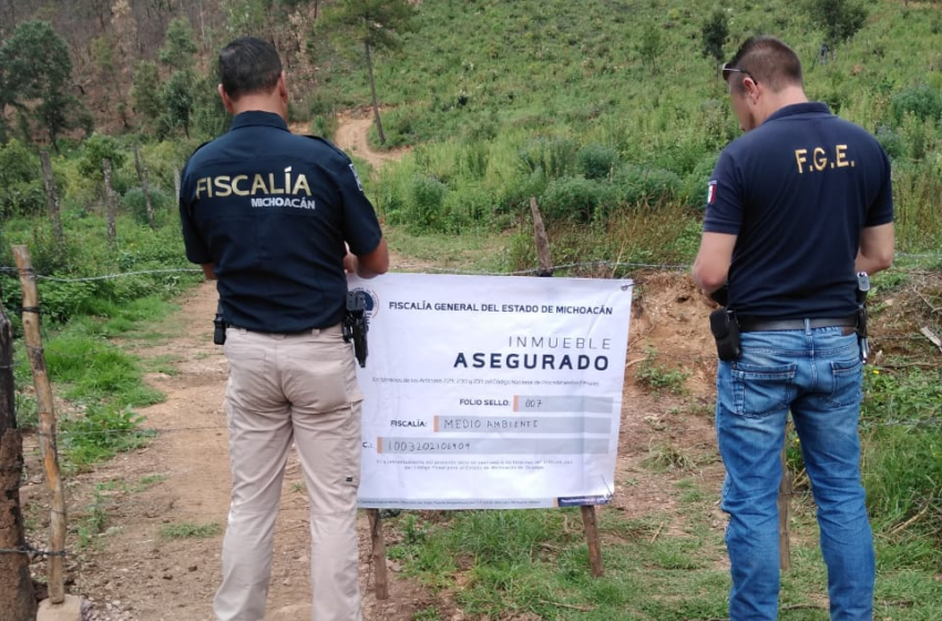  En cateo, asegura Fiscalía General predio relacionado en delitos contra el ambiente