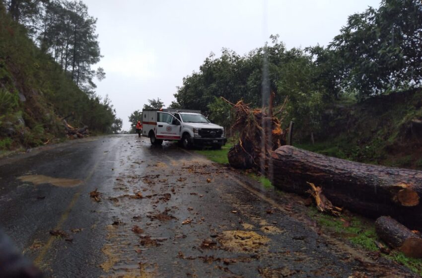  Atiende PC Estatal afectaciones por el paso de “Dolores”
