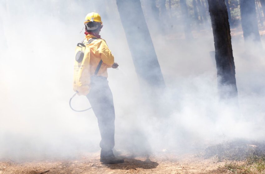  En un año crítico por la sequía, Michoacán demostró capacidad de respuesta