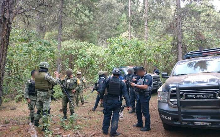  Descubren ocho ejecutados en  campamento de grupo delictivo