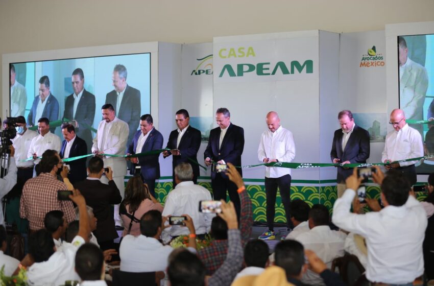  Michoacán se consolida como potencia de producción agrícola con el aguacate: Silvano