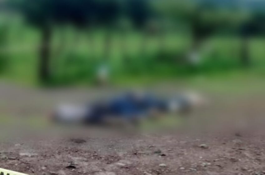  Encuentran cinco hombres ejecutados en Tangamandapio