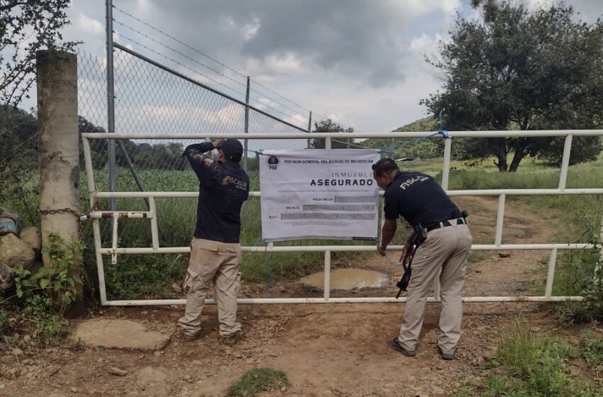  En cateo, asegura Fiscalía General predio relacionado en delitos contra el ambiente
