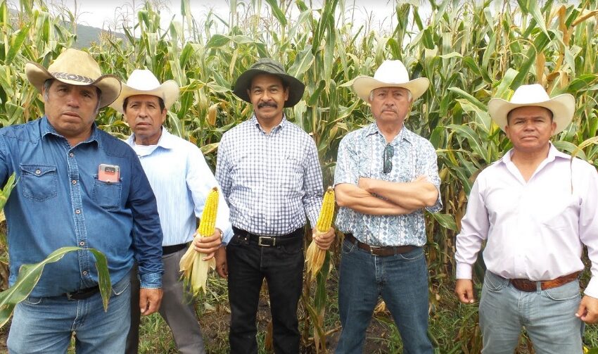  Ha beneficiado Agricultura Sustentable a más de 10 mil familias de productores