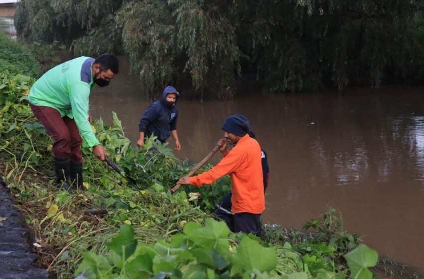  Continúa Ayuntamiento de Morelia la limpieza de ríos, drenes y cunetas