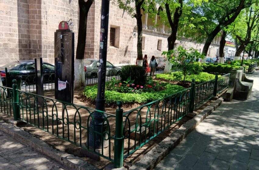 Ayuntamiento de Morelia atiende áreas verdes de la periferia y Centro