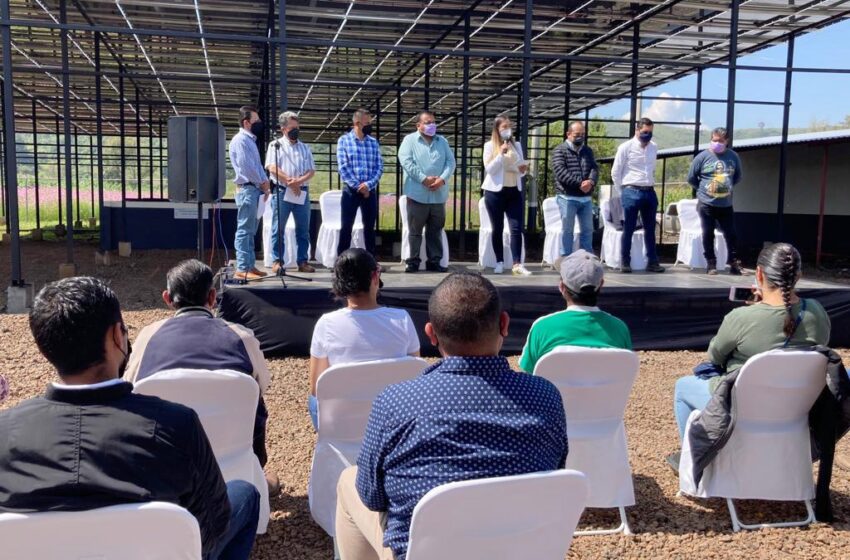 Opera planta tratadora de Lagunillas, tras años de abandono