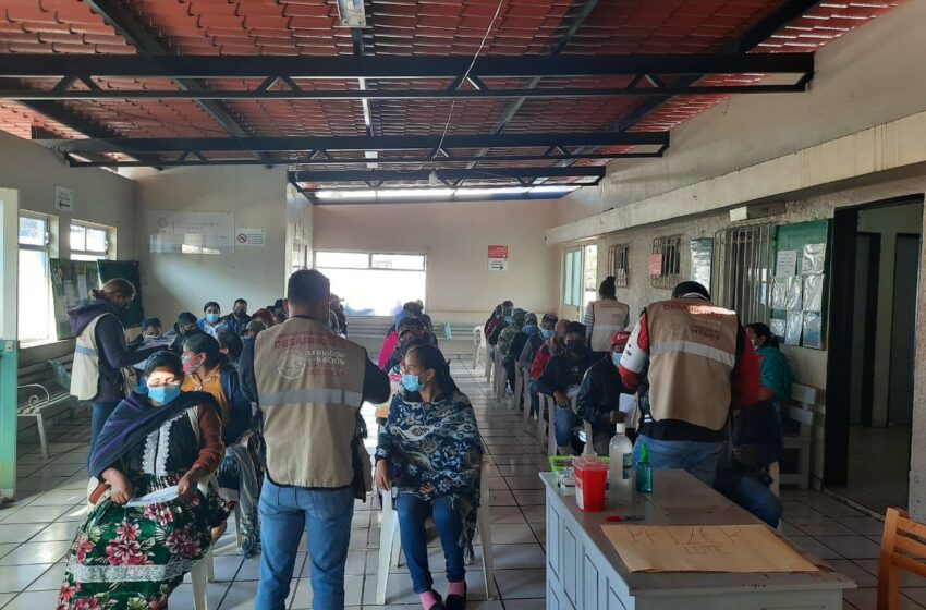  Coordina Brigada Correcaminos vacunación a comunidades indígenas de Uruapan