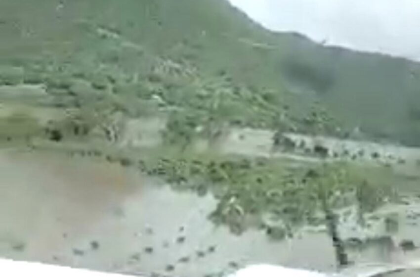  Millonarias pérdidas agrícolas en Tierra Caliente; huertas inundadas por desborde del Río Grande