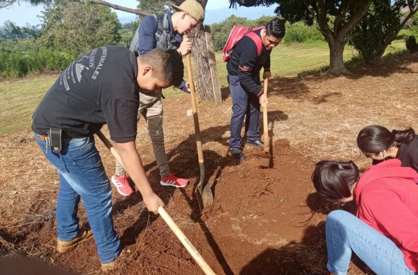  Alumnos del CEMSaD Ixtaro del CECyTEM ponen en marcha Jardín botánico