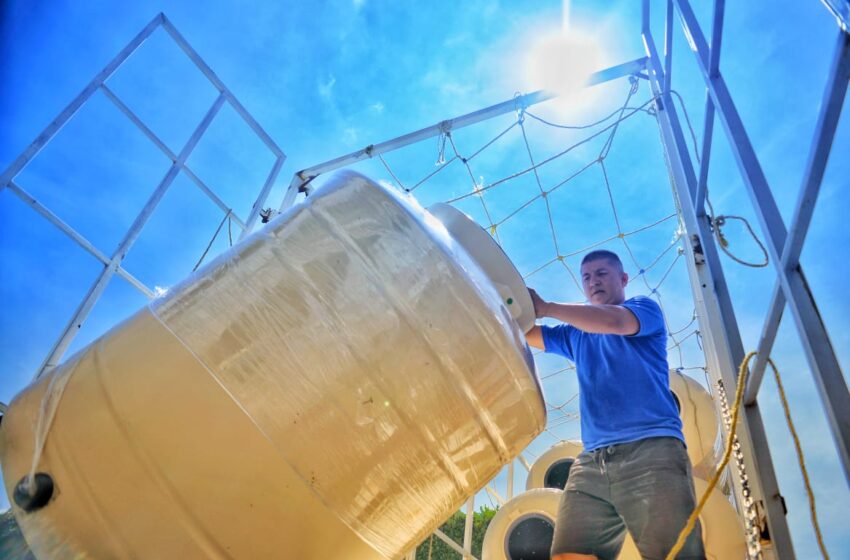  Este viernes, segunda etapa de entrega de tinacos subsidiados en Tarímbaro