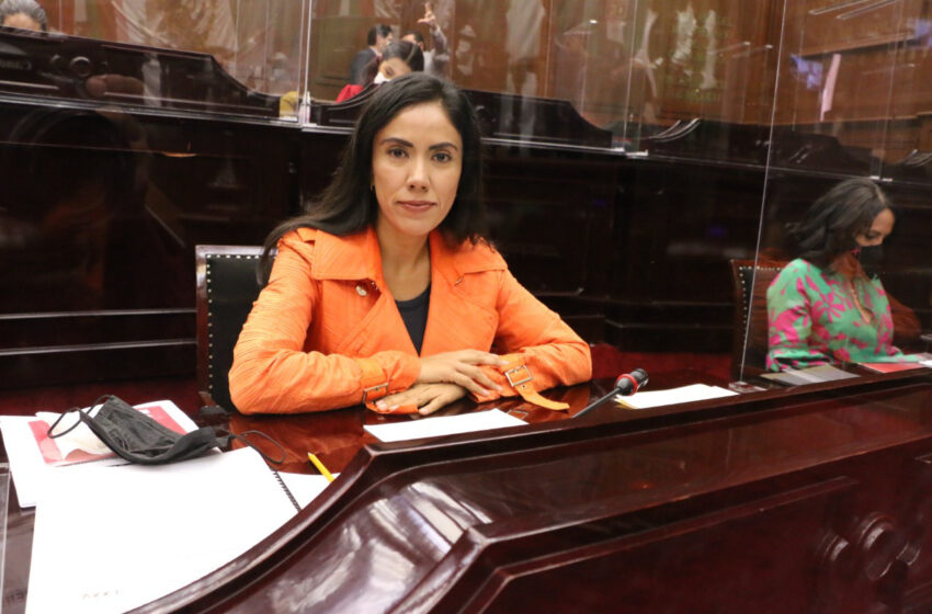 Desde la Representación Parlamentaria se defenderán a las y los michoacanos: Fanny Arreola