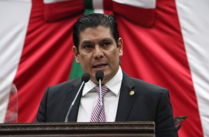A propuesta del Partido Verde, más castigos al maltrato y crueldad animal, en Michoacán