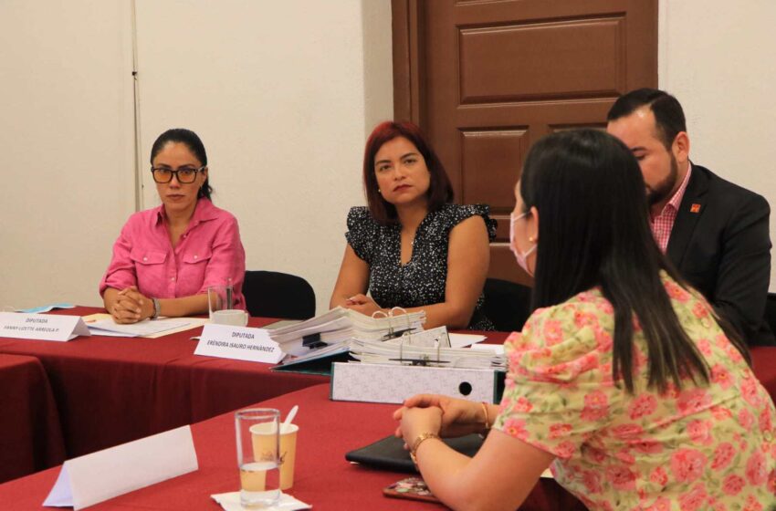 Rescatar temas que sean de interés para Michoacán propone Fanny Arreola en comisión de Asuntos Electorales