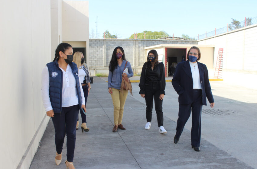  Refrendan Fiscalía General y Seimujer alianza para atender y erradicar la violencia de género en Michoacán