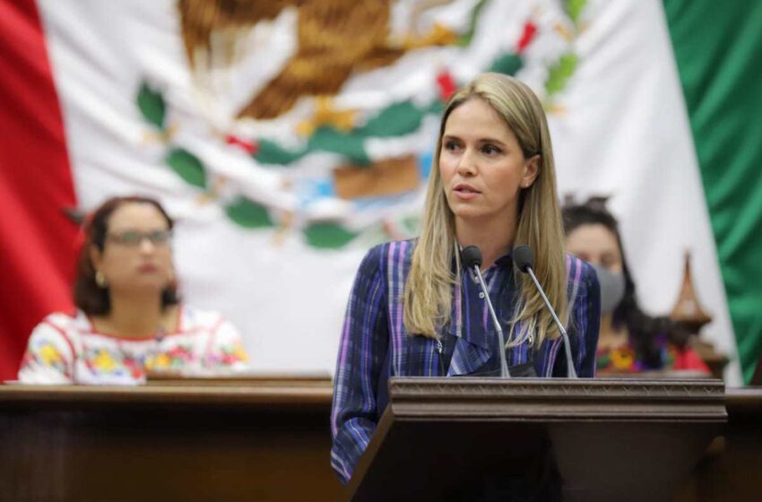  La niñez michoacana, prioridad en mi trabajo legislativo: Daniela de los Santos
