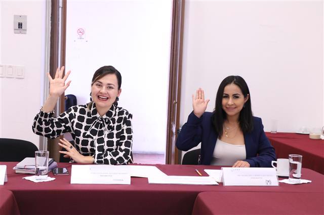  Acuerdan plan de trabajo en Comisión de Puntos Constitucionales: Gloria Tapia