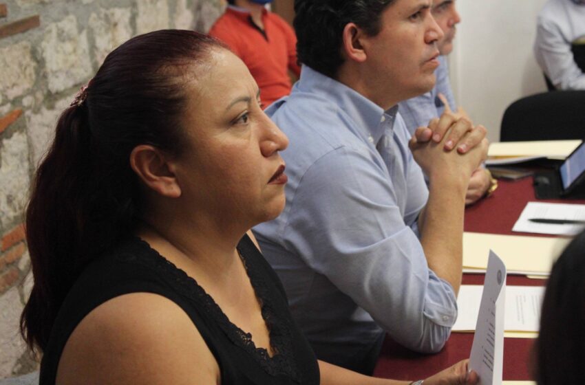 Trabajamos en conjunto para apoyar a la economía de las familias michoacanas: Seyra Alemán