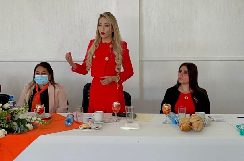  Urge frenar y erradicar la violencia contra las mujeres en México y el mundo: diputada Belinda Hurtado Marín