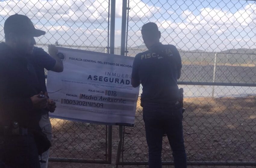  En cateo, asegura Fiscalía General predio por su posible relación en el delito contra el ambiente; hay una persona detenida