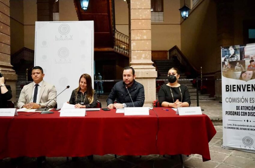  Desde el poder legislativo el PT impulsará la representación de grupos con discapacidad en materia electoral: Reyes Galindo