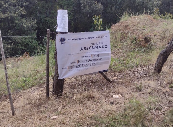  En cateo, asegura Fiscalía General predio relacionado en delitos Contra el Ambiente