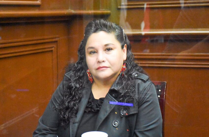 Paridad de género a todo; debe abarcar secretarías, coordinaciones, JUCOPO y Auditoria: Gaby Cázares