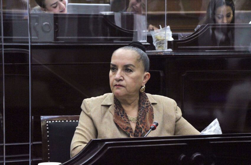 Hay que acabar con barreras legales que obstaculizan plena inclusión de las personas con espectro autista: Julieta Gallardo