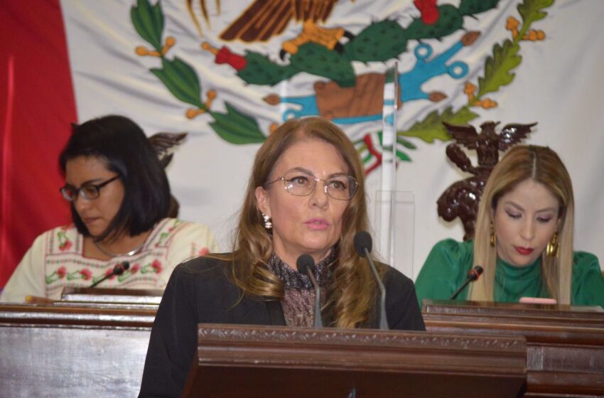 Que el Gobierno lleve paz y seguridad a Chinicuila: diputada Luz María García