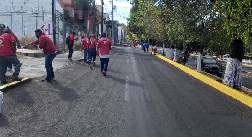  Balizan vialidades para mejorar la seguridad de peatones y automovilistas