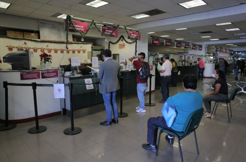  Atendidos durante enero, más de 155 mil trámites de reemplacamiento en ventanilla: SFA