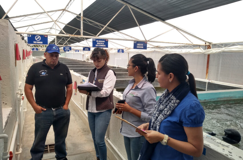  Entrega Sader recurso para apoyo a productores agropecuarios