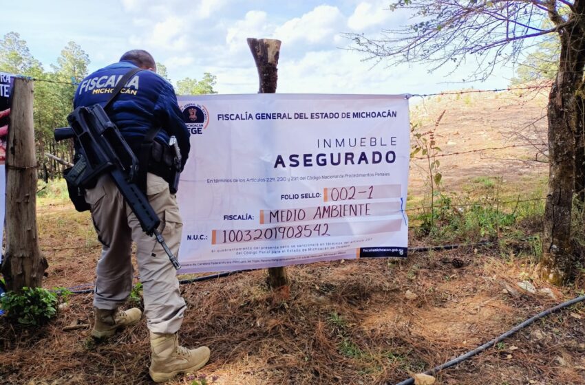  En cateo, asegura Fiscalía General predio relación en delitos contra el medio ambiente