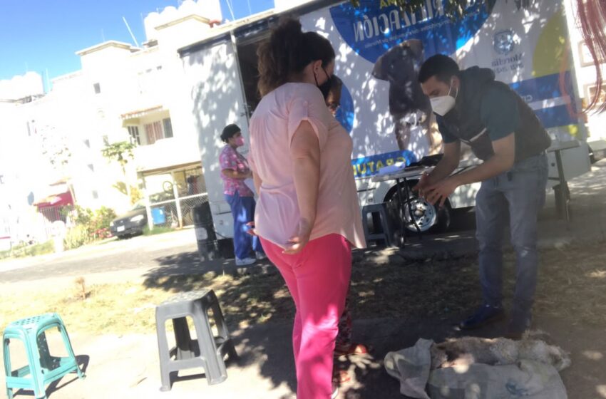  Arranca Centro de Atención Animal con jornadas de esterilización permanentes