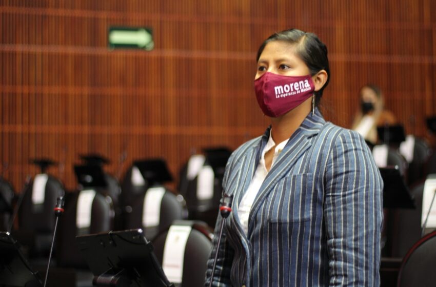  Propone Celeste Ascencio quitar amparo a funcionarios que se opongan a renunciar a “salarios estratosféricos”