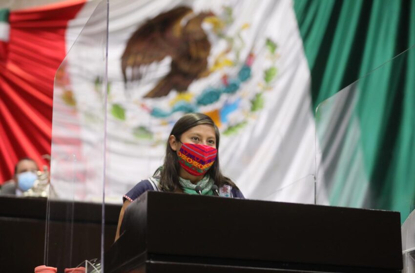  Con Reforma Eléctrica acabarán monopolios energéticos: Celeste Ascencio