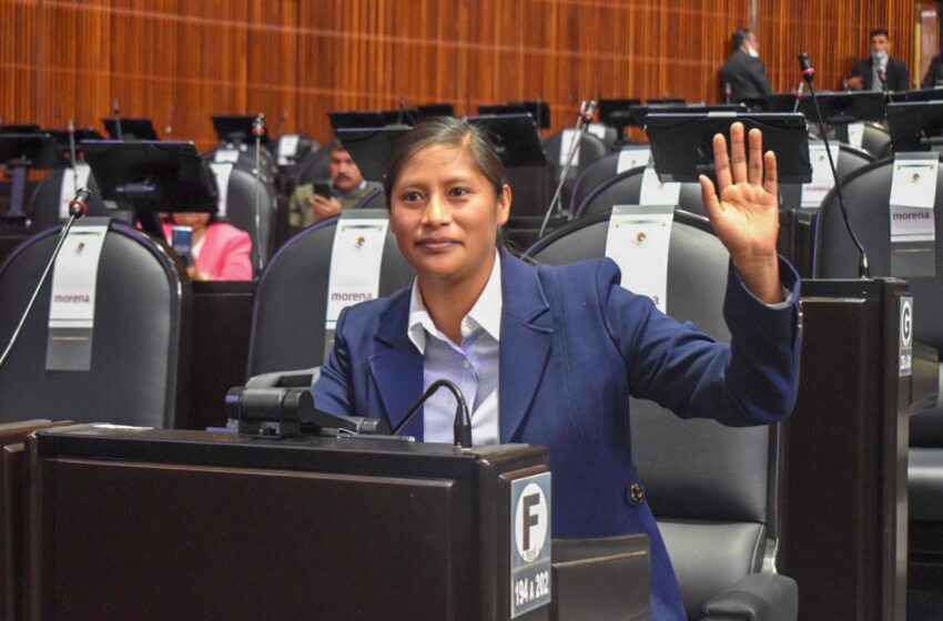  Propone Celeste Ascencio prohibir acercamientos del INE con partidos políticos