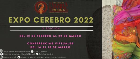 UMSNH realizará Semana Internacional del Cerebro